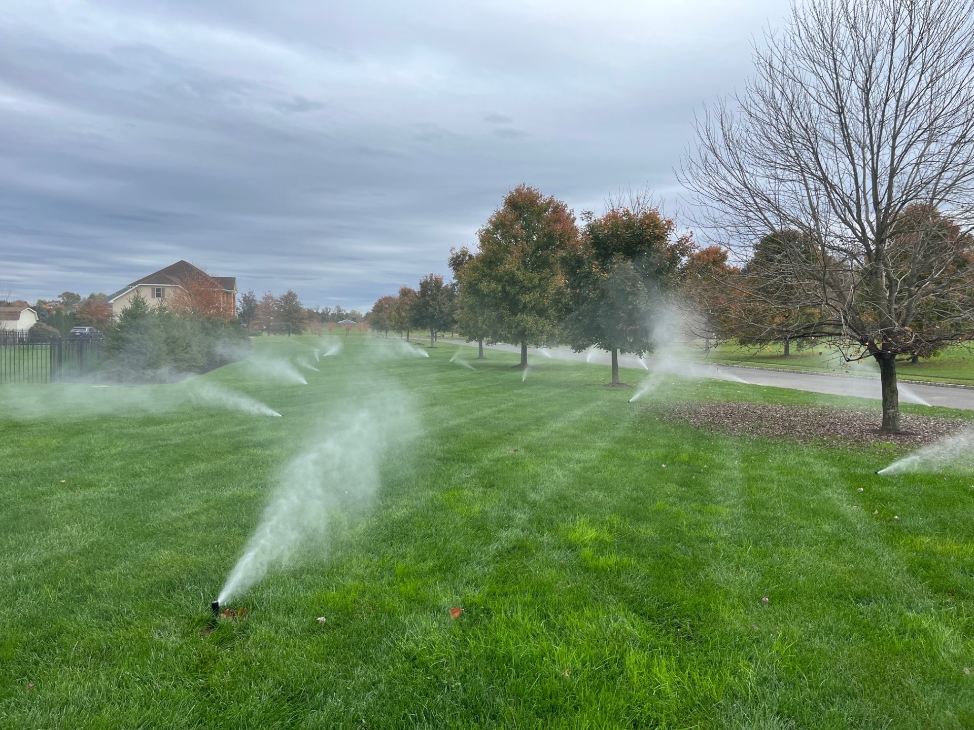 irrigation services