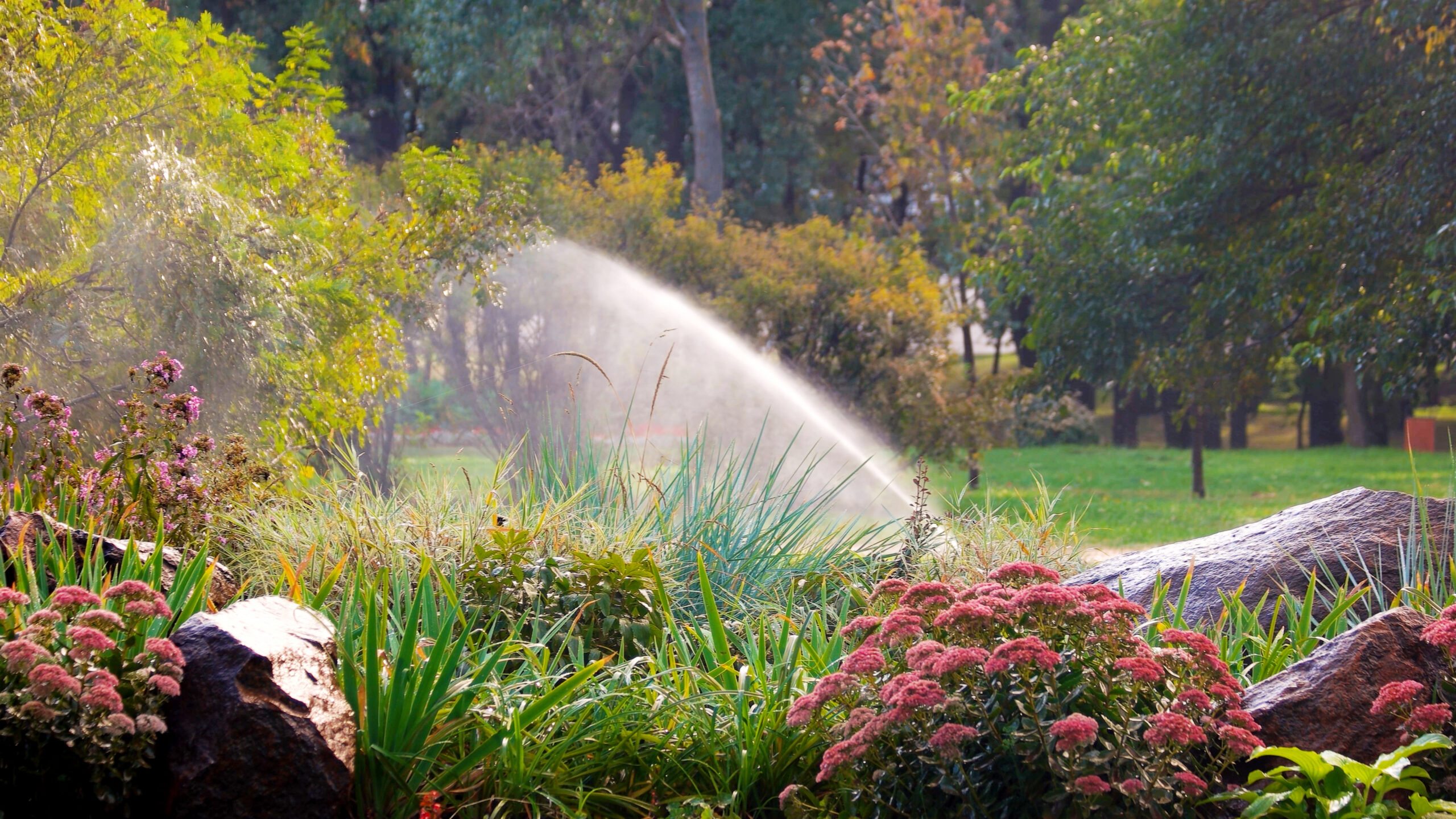 irrigation systems experts