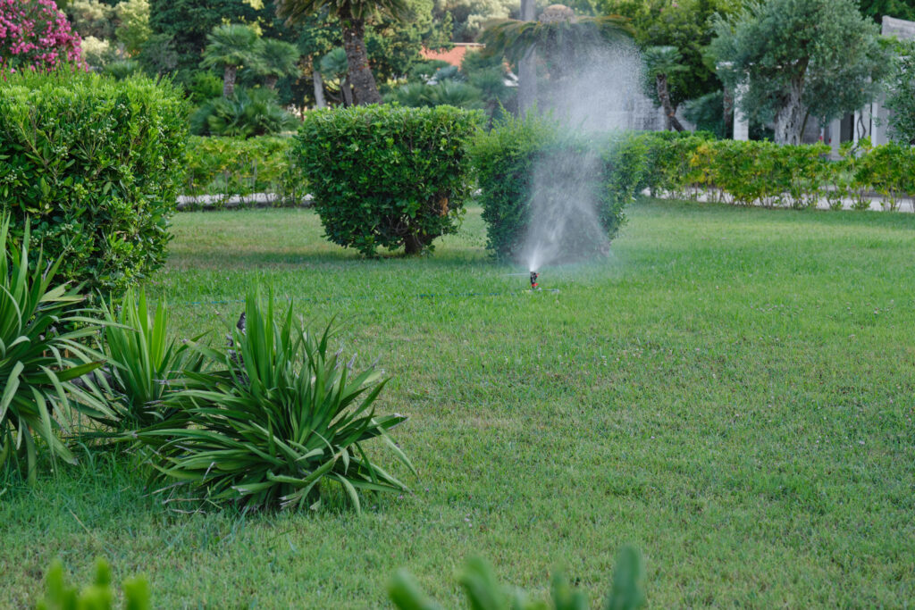 lawn irrigation