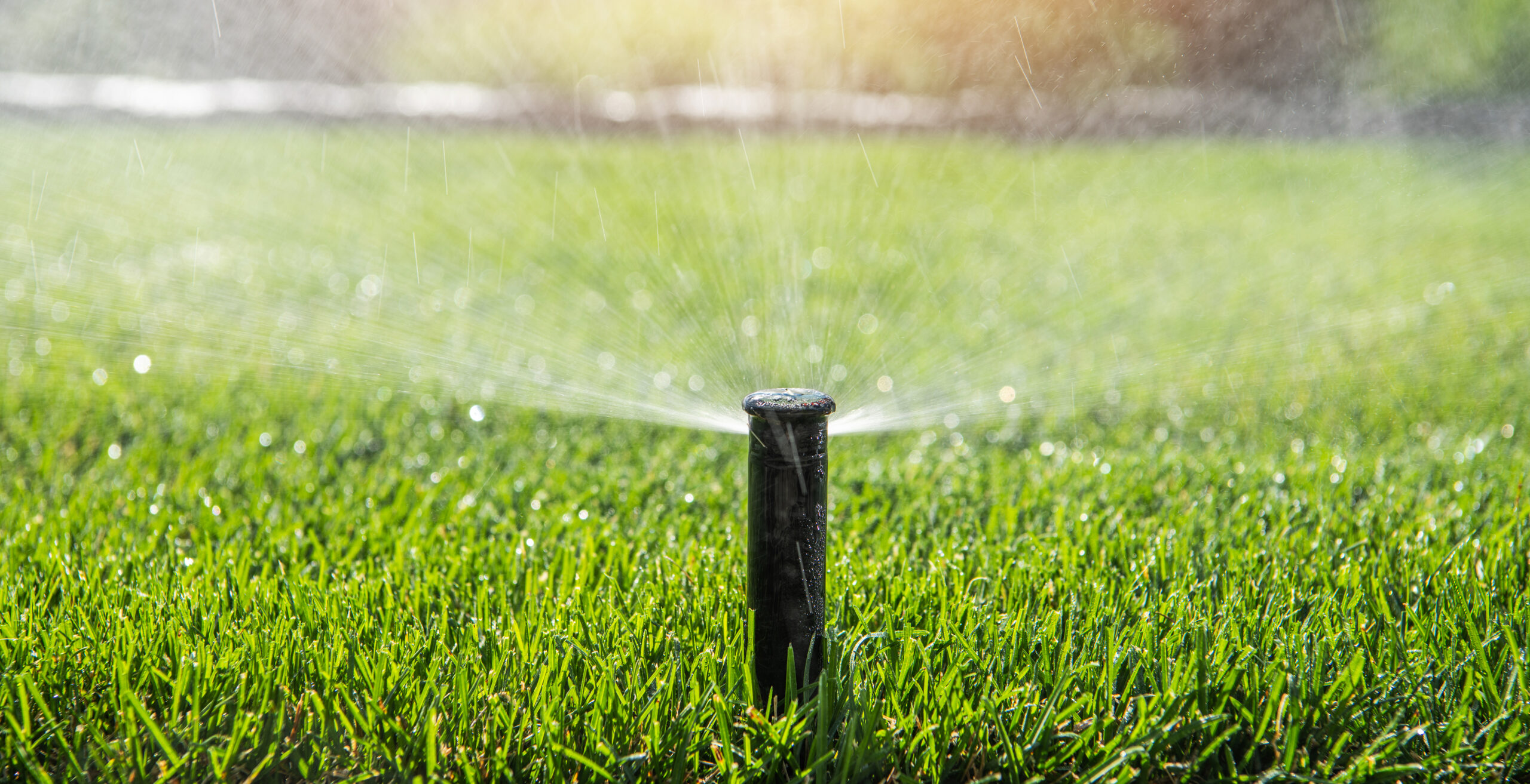 healthy lawn irrigation