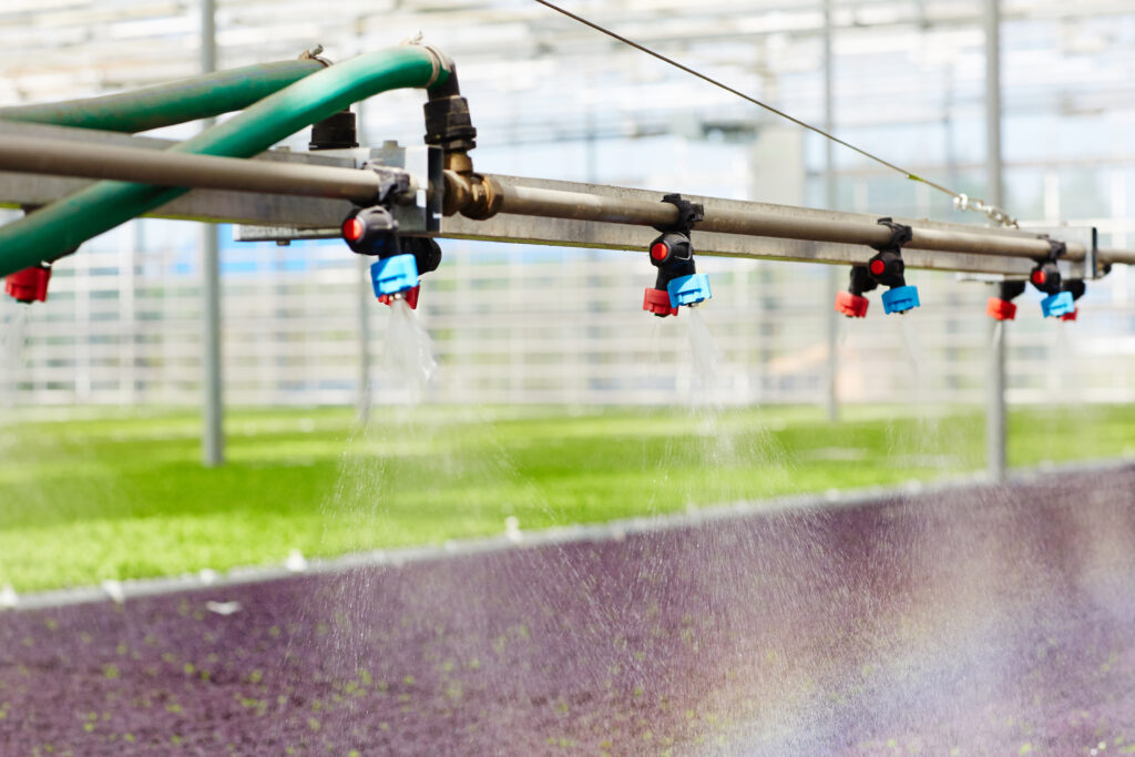 Understanding the Importance of Commercial Watering Systems