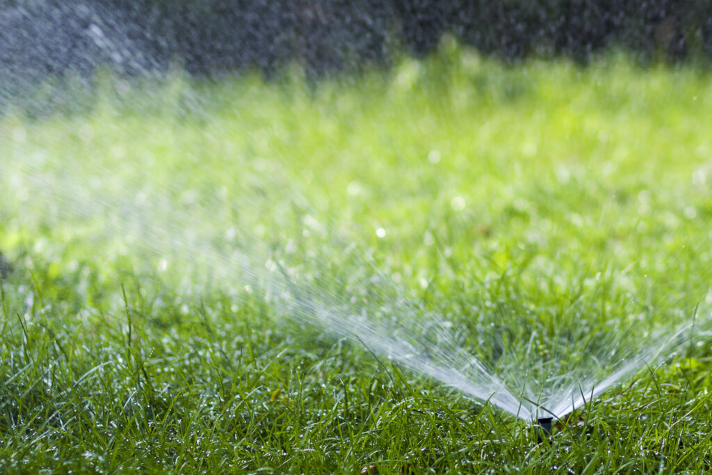 Rain Bird sprinkler system