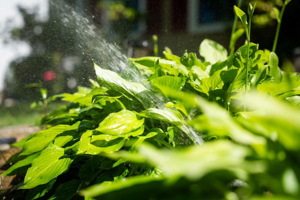 Smart Irrigation Technology - Upgrade Your Watering System